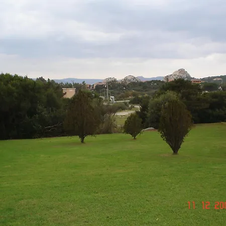 Taras